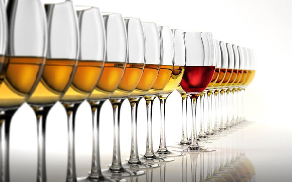2018 Tastevin Fall Wine Tasting